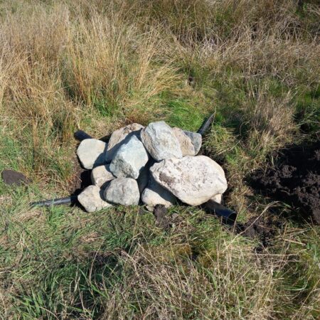habitat creation project
