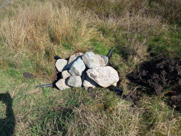 habitat creation project