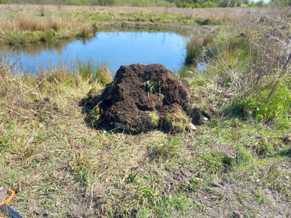 large hibernacula